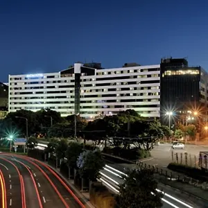 Amora Wellington